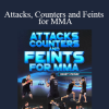 Randy Steinke - Attacks Counters and Feints for MMA