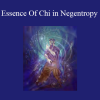 Sapien Medicine - Essence Of Chi in Negentropy