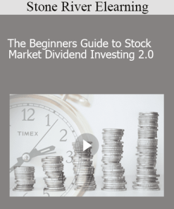 Stone River Elearning - The Beginners Guide to Stock Market Dividend Investing 2.0