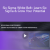 Stone River Elearning - Six Sigma White Belt: Learn Six Sigma & Grow Your Potential