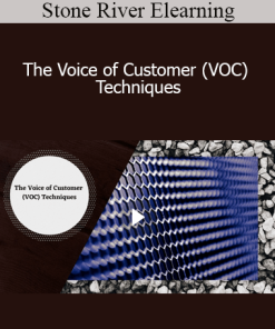Stone River Elearning - The Voice of Customer (VOC) Techniques