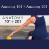 Tom Myers & Karin Gurtner - Anatomy 101 + Anatomy 201