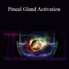 Mas Sajady - Pineal Gland Activation