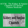 Master Jeffrey Yuen - ACCM - The Kidney & Sanjiao Channels of Classical Chinese Medicine