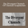 ACCM - The Divergent Channels Of Classical Acupuncture