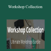 Erin Flynn - Workshop Collection