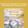 Eileen McKusick - Heal Your Ancestral Lineages With Biofield Tunings 2023