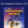 Raja Choudhury - The Enlightened Witness 2022