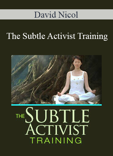 David Nicol - The Subtle Activist Training