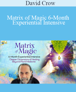 David Crow - Matrix of Magic 6-Month Experiential Intensive