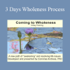 Connirae Andreas - 3 Days Wholeness Process