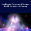 Michael Davis Golzmane - Invoking the Destroyer of Diseases Health Activation & Clearing