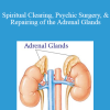 Michael Davis Golzmane - Spiritual Clearing Psychic Surgery & Repairing of the Adrenal Glands