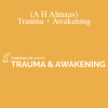 Dr Gabor Maté & Hameed Ali (A H Almaas) - Trauma + Awakening