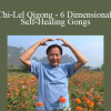 Luke Chan - Chi-Lel Qigong - 6 Dimensional Self-Healing Gongs