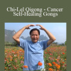 Luke Chan - Chi-Lel Qigong - Cancer Self-Healing Gongs
