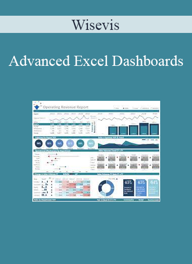 Wisevis - Advanced Excel Dashboards