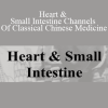 ACCM - Heart & Small Intestine Channels Of Classical Chinese Medicine