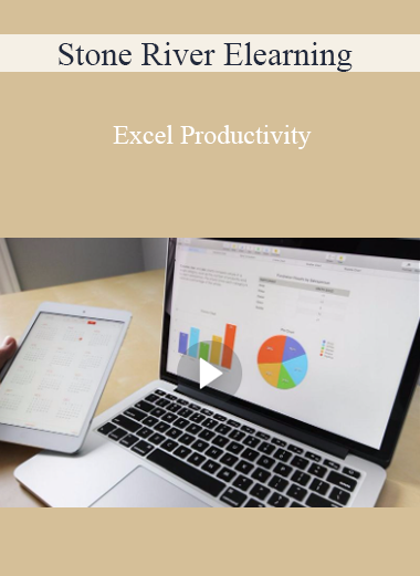 Stone River Elearning - Excel Productivity