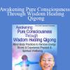 Master Mingtong Gu - Awakening Pure Consciousness Through Wisdom Healing Qigong