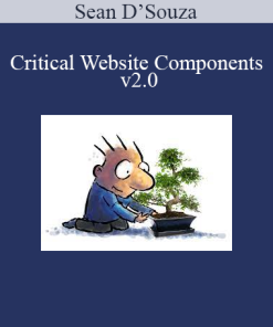 Sean D’Souza – Critical Website Components v2.0