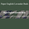 Janita Court - Paper English Lavender Buds