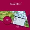 Stone River Elearning - Voice SEO