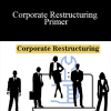 Matan Feldman - Corporate Restructuring Primer