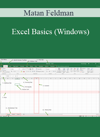 Matan Feldman - Excel Basics (Windows)