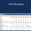 Matan Feldman - LBO Modeling