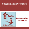 Silab Mohanty - Understanding Divestitures