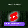 Digital Income Project - Shorts University