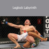 Dan Faggella - Leglock Labyrinth