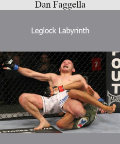 Dan Faggella - Leglock Labyrinth
