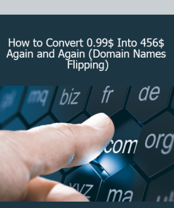 How to Convert 0.99$ Into 456$ Again and Again (Domain Names Flipping)