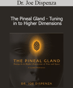 Dr. Joe Dispenza - The Pineal Gland - Tuning in to Higher Dimensions