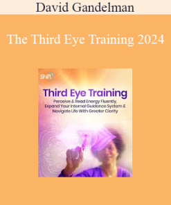 David Gandelman - The Third Eye Training 2024
