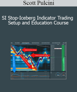 Scott Pulcini - SI Stop-Iceberg Indicator Trading Setup and Education Course