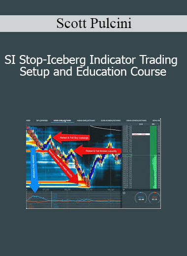 Scott Pulcini - SI Stop-Iceberg Indicator Trading Setup and Education Course