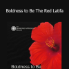 Lightness of Being - Boldness to Be The Red Latifa
