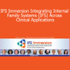 Richard Schwartz Frank Anderson Chris Burris and more! - IFS Immersion Integrating Internal Family Systems (IFS) Across Clinical Applications