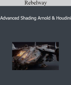 Rebelway - Advanced Shading Arnold & Houdini
