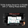 MONEIFAY - TikTok Scaling Secret for 6 FIGURE DAY [+ Testing Phase BONUS]
