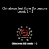 Chinatown Jeet Kune Do Lessons Levels 1 - 3