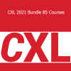 Conversion XL - CXL 2021 Bundle 85 Courses