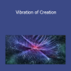 Sapien Medicine - Vibration of Creation