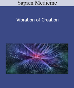 Sapien Medicine - Vibration of Creation