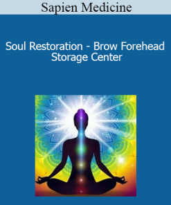Sapien Medicine - Soul Restoration - Brow Forehead Storage Center