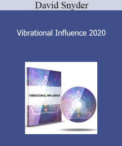 David Snyder - Vibrational Influence 2020