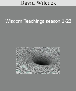 David Wilcock - Wisdom Teachings season 1-22